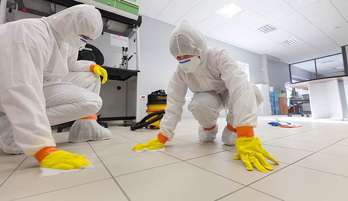 Two experts sanitizing the floor