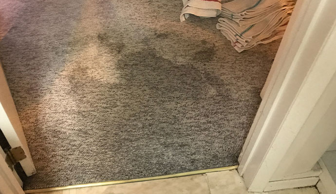Carpet water damage cleanup