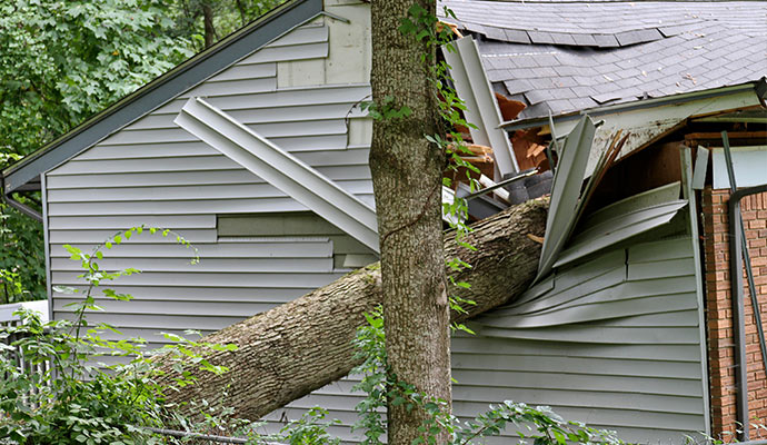 Fallen tree damaged house siding and roof