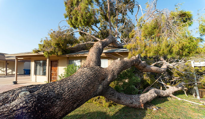 Storm damaged house
