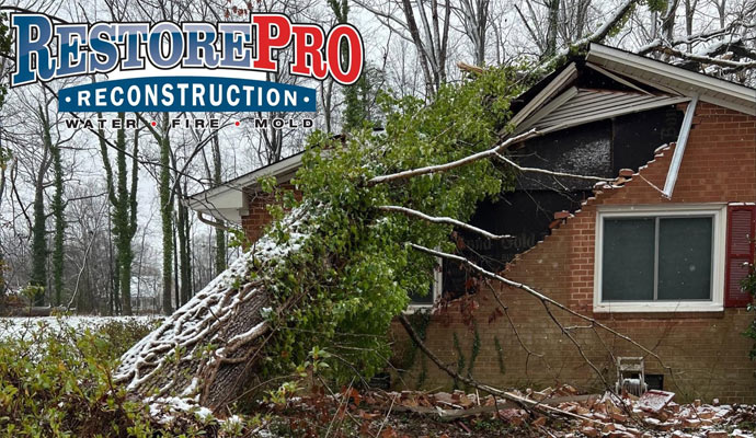 Storm damaged brick house with fallen tree