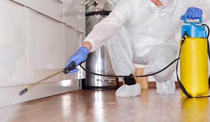 Expert disinfecting indoor area