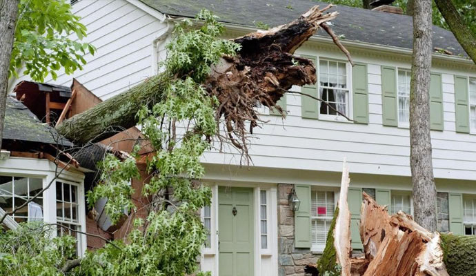 Fallen tree on house after storm