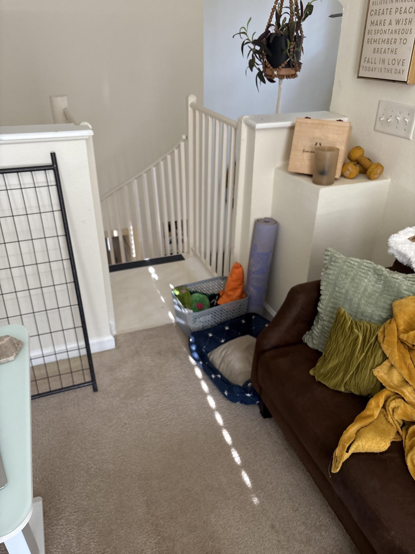 A cozy living room with stairs in the background and a dog bed, indicating a home environment where HVAC cleaning services are essential.
