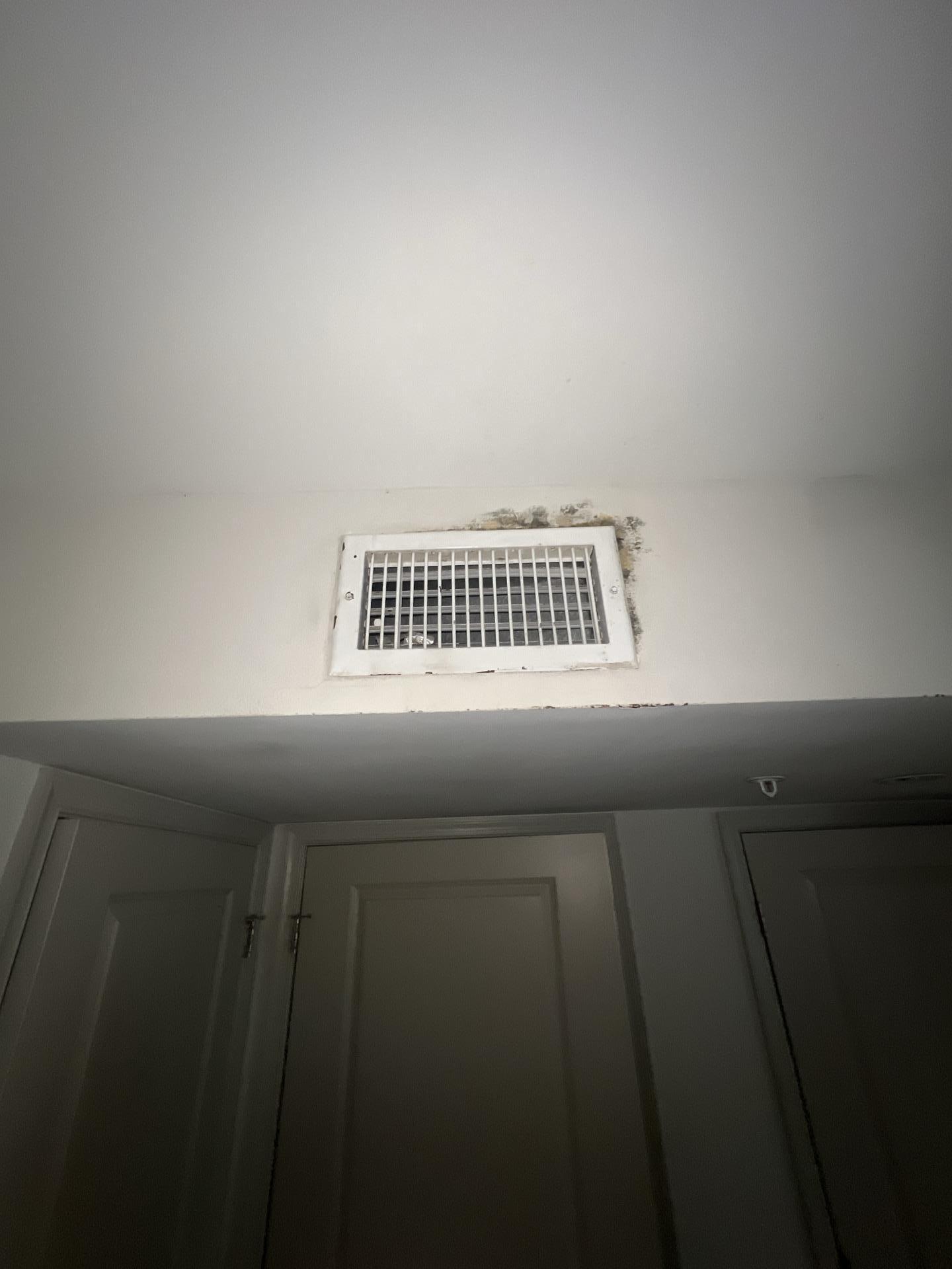 Wall-mounted HVAC air register with visible dark mold growth and water staining around the drywall cutout