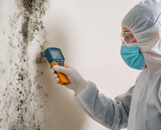 Technician in protective gear using a moisture meter to inspect mold growth on a wall
