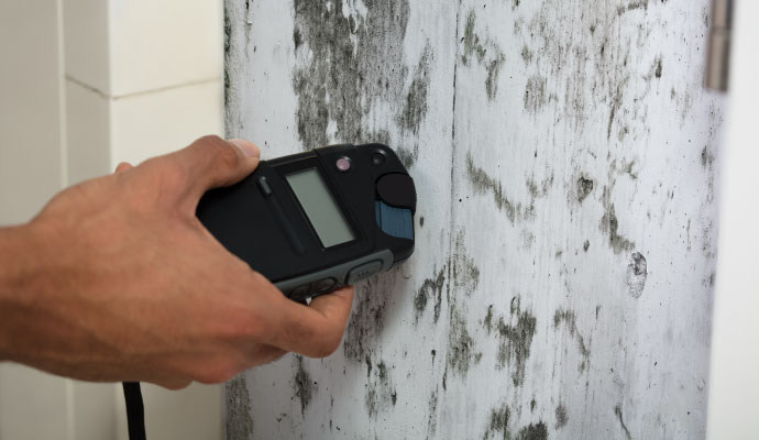 A professional of RestorePro Reconstruction inspecting mold with moisture meter