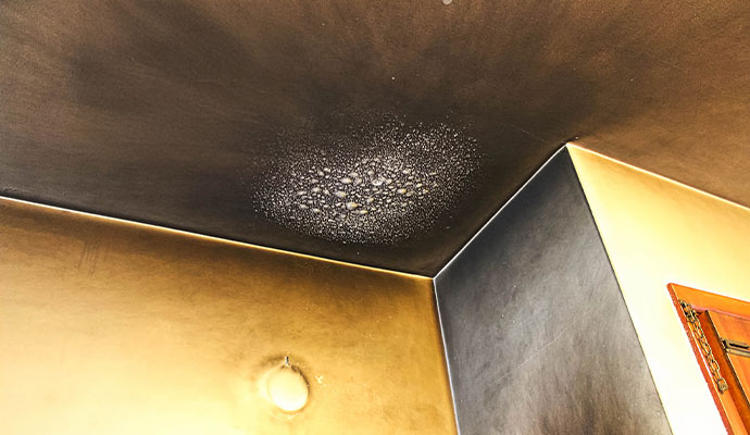 Severe soot and smoke staining on a ceiling and walls after a fire, featuring a visible pattern of heat damage and residue