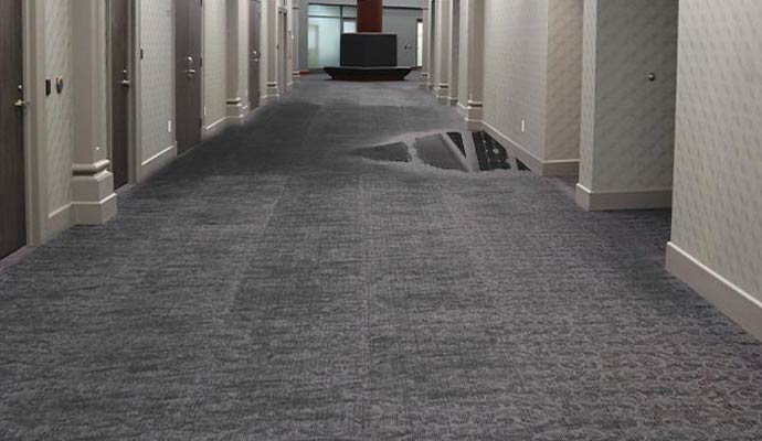 Standing water on the carpet