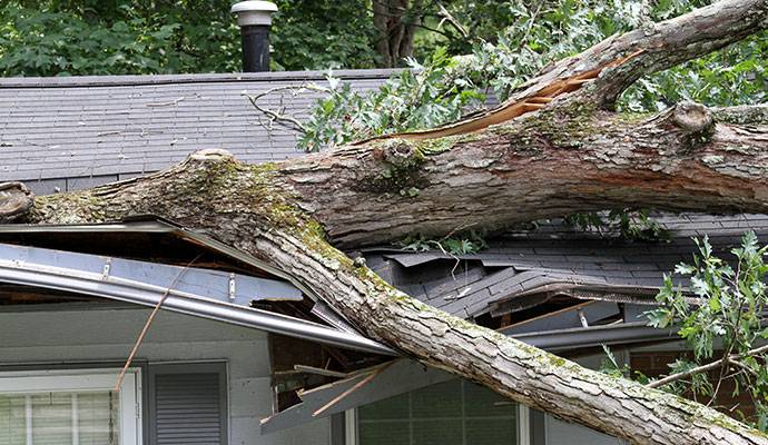 Tree fell on house roof due to serious storm