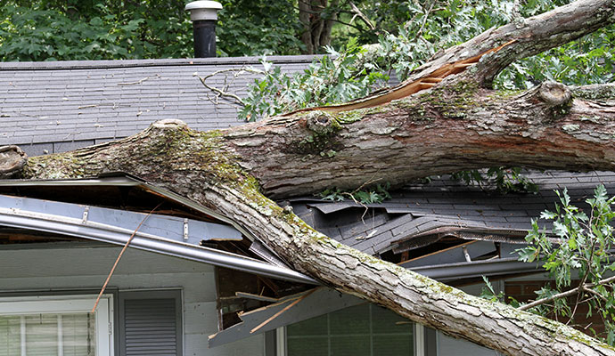 Tree fell on house roof due to storm
