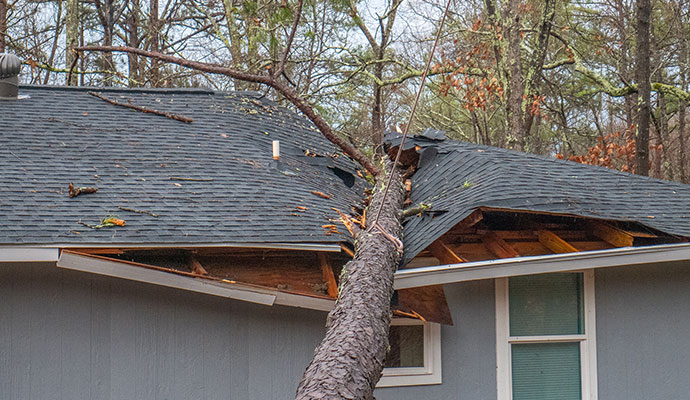 Tree fell on house roof