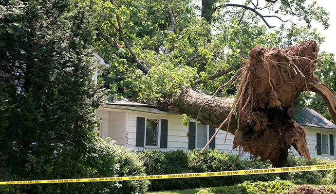 Wind damaged property