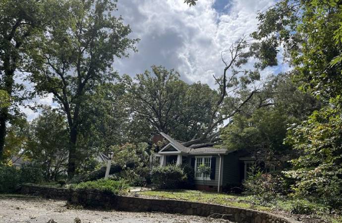 Storm damaged house with fallen tree