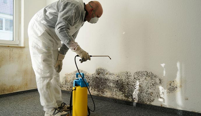 Technician spraying mold on wall