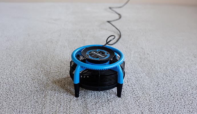 Carpet drying using fan