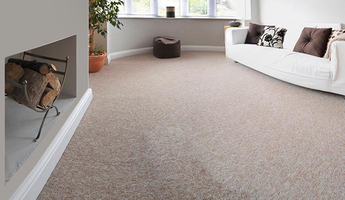Clean carpet on living room