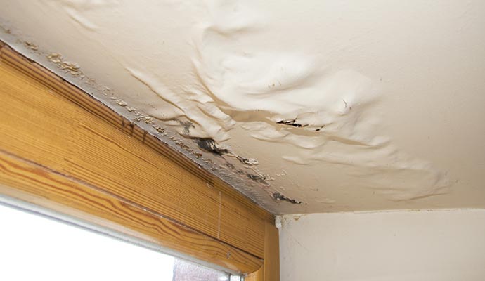 Damaged ceiling