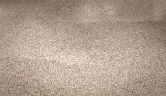 Dark stained carpet