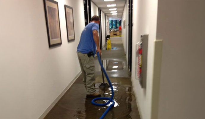 Professional water extraction service in hallway