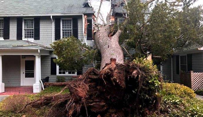 Storm damage with an uprooted tree on a house