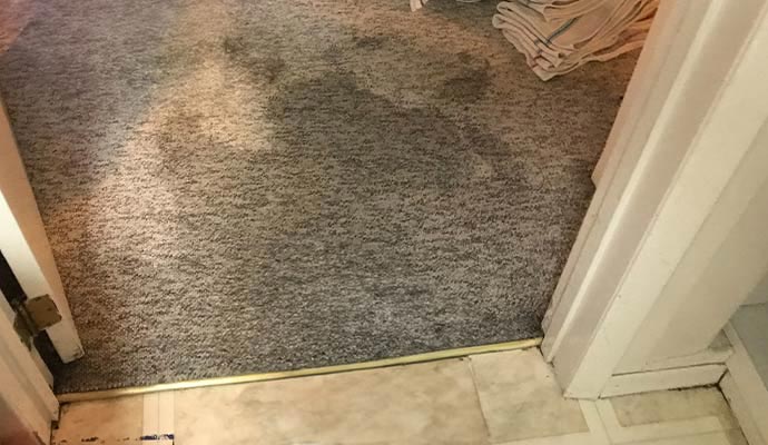 Carpet Water Damage Cleanup in Raleigh-Durham, NC, and TN