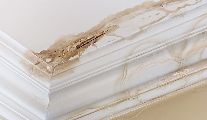 Structural Damage Restoration in North and South Carolina