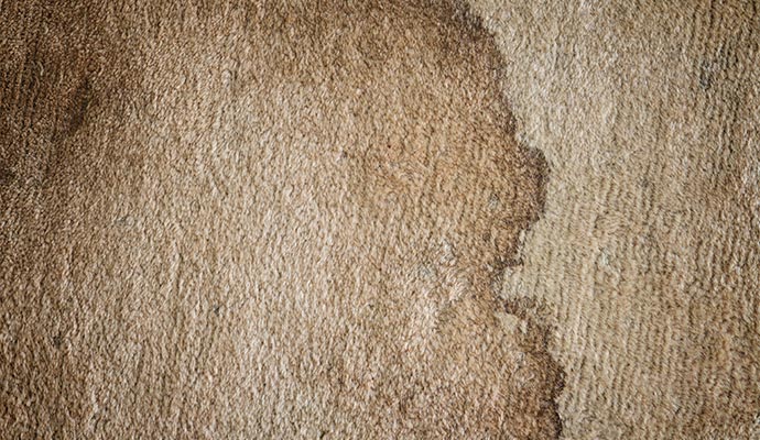 Water stained carpet