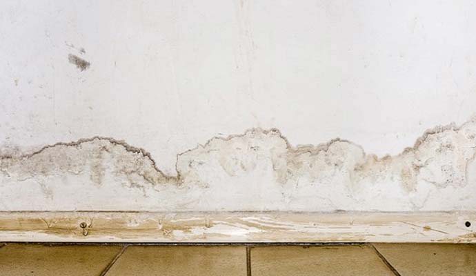 Water damaged drywall